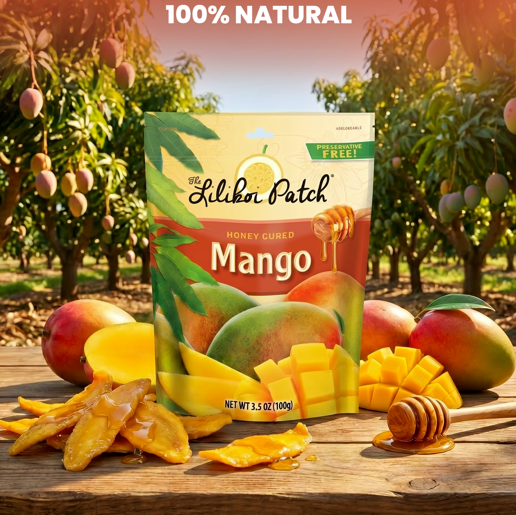 MANGO Honey Cured - Soft Dried No Preservatives 3.5oz