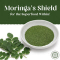 Premium Grade Pure & Raw Sun-dried Moringa Leaf Ground, (3.53oz - 100gm)