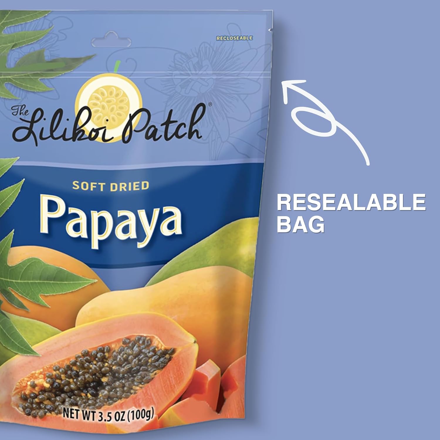 Papaya Soft Dried Fruit 3.5oz